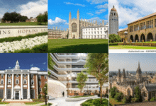 Top Universities Worldwide for Medicine & Law (2025)