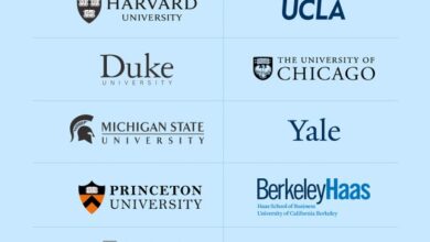 Best Universities in the USA for Educational Psychology