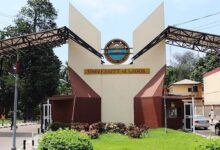 Top Universities in Africa for Agricultural Studies