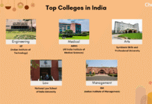Top Colleges in India for IT Programs (2025)