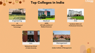 Top Colleges in India for IT Programs (2025)